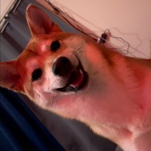 Meet your Posher, Christopher